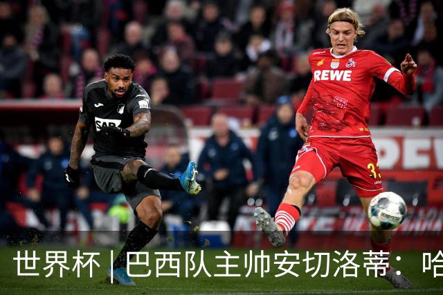 世界杯 | 巴西队主帅安切洛蒂：哈兰德决定了比赛胜负