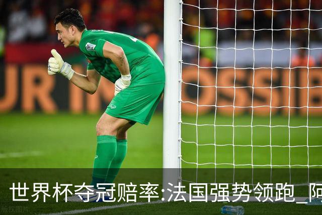 世界杯夺冠赔率:法国强势领跑 阿根廷不受看好
