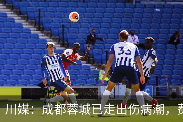 川媒：成都蓉城已走出伤病潮，费利佩完全康复、罗慕洛恢复顺利