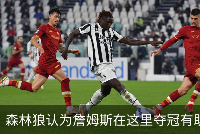 森林狼认为詹姆斯在这里夺冠有助于GOAT之争 其他下家都拿过冠军