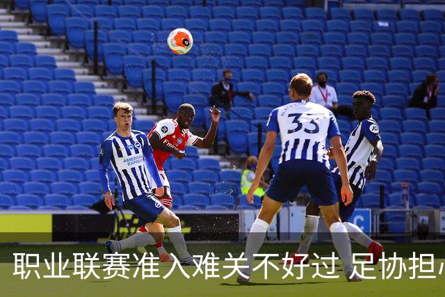 职业联赛准入难关不好过 足协担心并不是多余