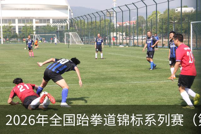 2026年全国跆拳道锦标系列赛（第二站）在广州举行