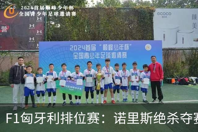 F1匈牙利排位赛：诺里斯绝杀夺赛季正赛首杆，汉密尔顿第二